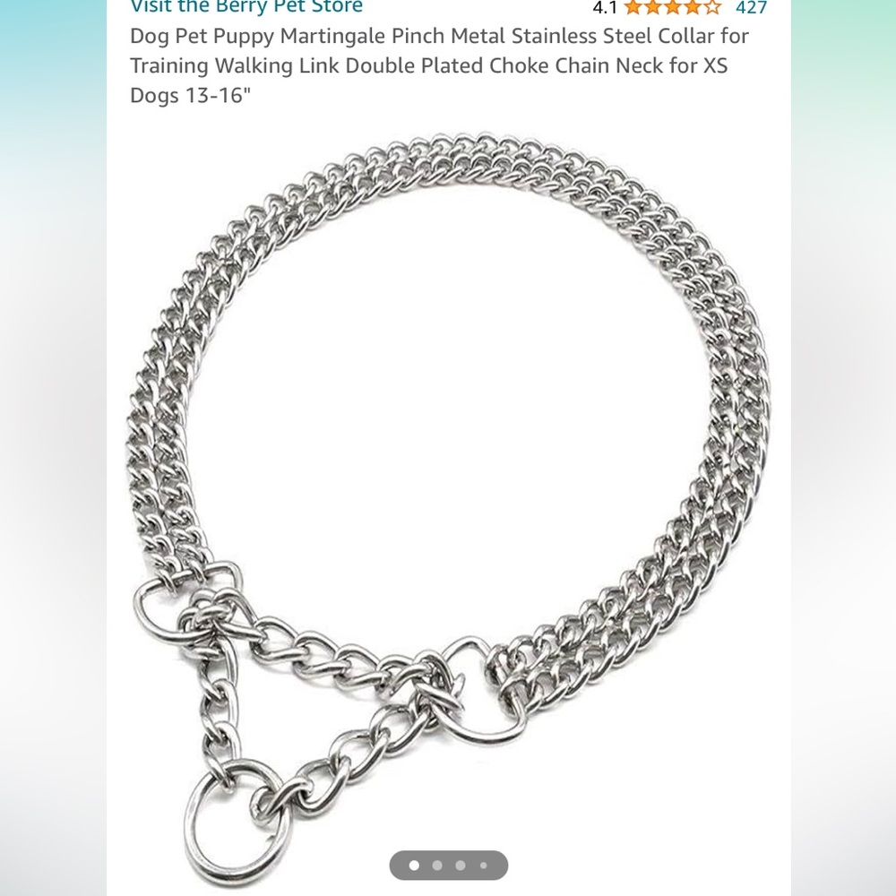 Martingale Pinch Collar Stainless Steel XS